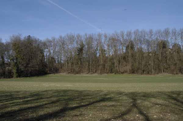 DSC_0066.jpg