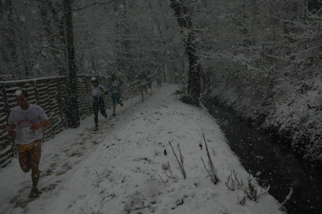 DSC_0157.jpg