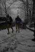DSC_0132.jpg