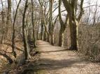 for_IMG_2803.jpg