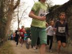 IMG_5342.jpg