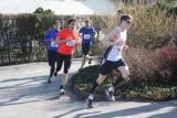 IMG_1522.jpg