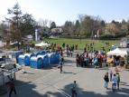 IMG_2747.jpg