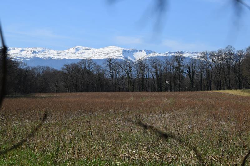 DSC_2058.jpg