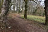 DBY_1119.jpg