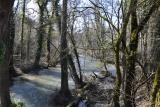 DSC_2052.jpg