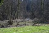 DSC_2057.jpg
